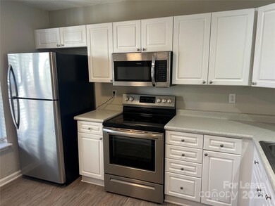 6075 Cougar Ln, Charlotte, NC 28269 - photo 4