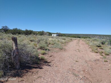 4056 Sorrel Rd, Snowflake, AZ 85937 - photo 6