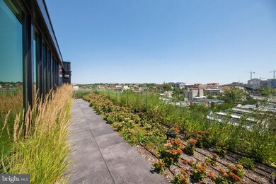 Chapman Stables unit 232, Washington, DC 20001 - photo 5