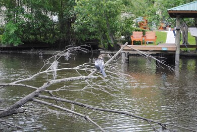 3915 Fall Terrace, Jacksonville, FL 32210 - photo 3