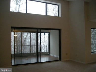 6350 Red Cedar Place unit 407, Baltimore, MD 21209 - photo 4