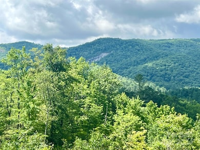 667 Laurel Thicket Ln, Brevard, NC 28712 - photo 6