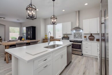 Luxurious Kitchen