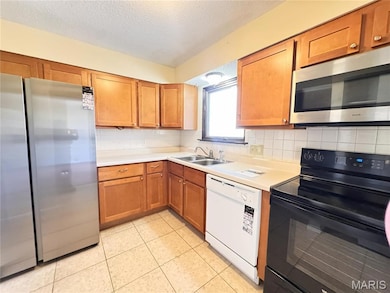 3626 Blecha Rd, Imperial, MO 63052 - photo 5