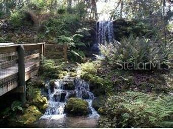 00 SW 102nd Street Rd, Dunnellon, FL 34432 - photo 4