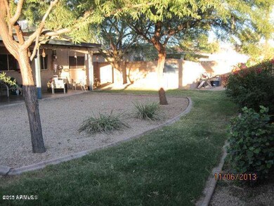 Backyard 2