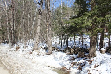 805 Northline Rd, Center Tuftonboro, NH 03816 - photo 5