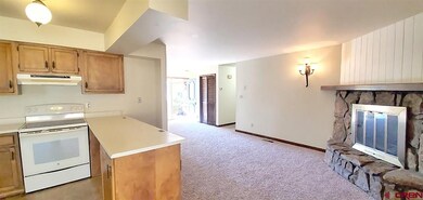 209 W 26th St, Durango, CO 81301 - photo 5