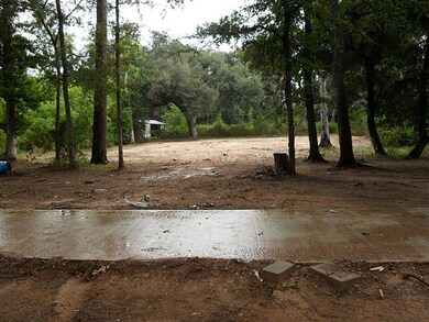 27851 Krezdorn Rd, Hockley, TX 77447 - photo 6