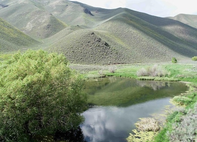 TBD Slaughterhouse Canyon Rd, Bellevue, ID 83313 - photo 3