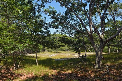 5-106 Lighthouse Rd, Aquinnah, MA 02535 - photo 6