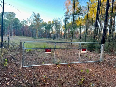 375 Piney Point Dr, Milam, TX 75959 - photo 5