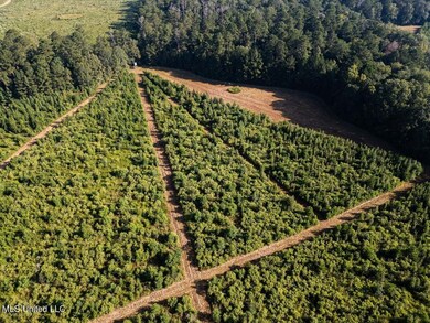 5073 Rollinson Rd, Liberty, MS 39645 - photo 6