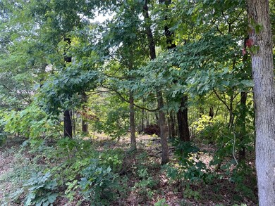 0 Burnham Dr, Bella Vista, AR 72715 - photo 6