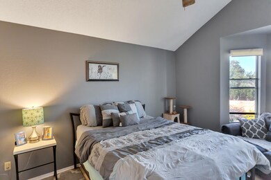 Master bedroom with vaulted ceiling
