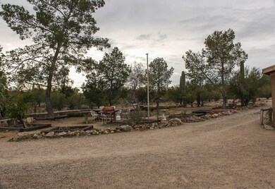 Front Yard 1 (1 of 1)