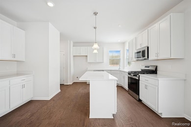 27108 Silo Dr, Saline Township, MI 48176 - photo 4