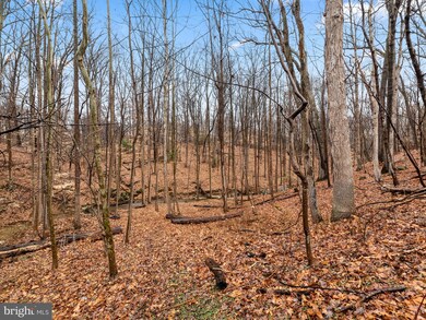 9726 Baltimore Ave, Laurel, MD 20723 - photo 6