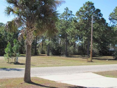 Nice lots across the street from home