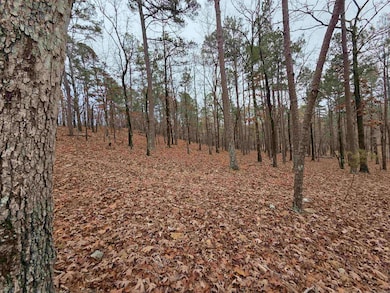 00 Colonel Glenn Rd, Little Rock, AR 72210 - photo 6