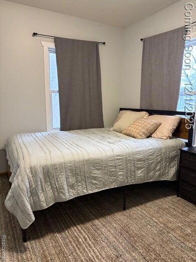 1321 Nelson St, Port Huron, MI 48060 - photo 5