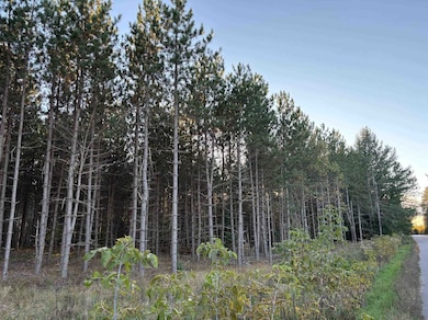 Lot 2 Plantation Rd, Enterprise, WI 54463 - photo 3