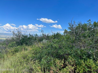 0 Matterhorn Ct, Midway, UT 84049 - photo 5