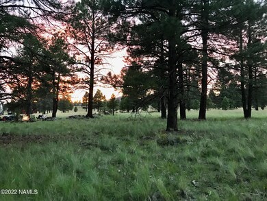Large trees