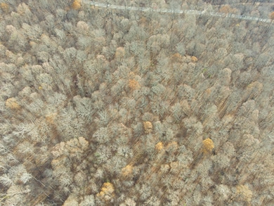 0 Highway 27 unit 1513626, Whitwell, TN 37397 - photo 4