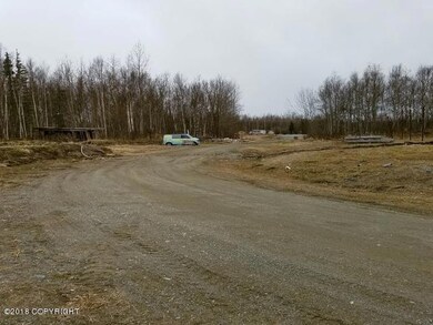 Driveway Back to Green House