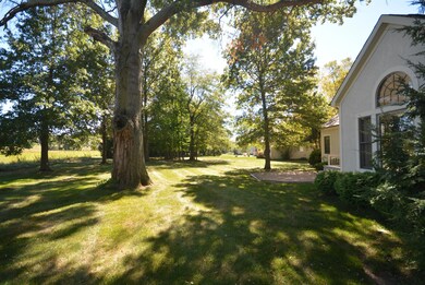 Rear Yard