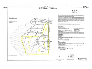 Pelican Pines Survey