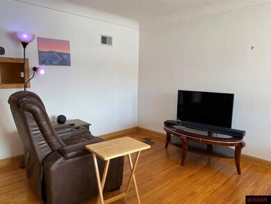 1020 1020 Jefferson St N, New Ulm, MN 56073 - photo 3