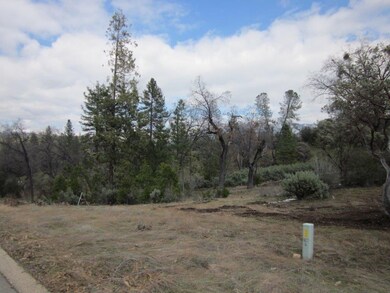 0 Hard Times Ranch unit 628016, North Fork, CA 93643 - photo 3