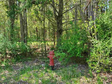 4545 Old Graham Rd, Pittsboro, NC 27312 - photo 2