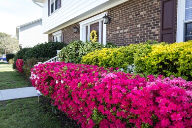 204 Converse Dr, Jacksonville, NC 28546 - photo 3