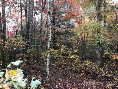 Lot 13 Echo Ln S unit 13, Old Fort, NC 28762 - photo 4