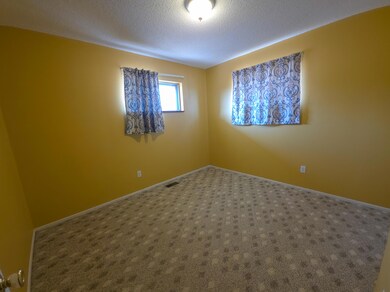 107 Stout Ave, Walsenburg, CO 81089 - photo 7