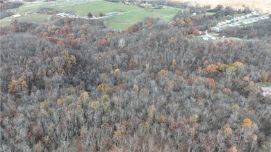 199 Bellbridge Rd, Elizabeth, PA 15037 - photo 4