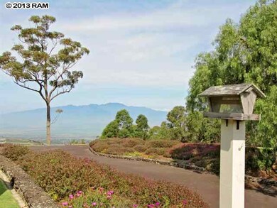 2000 Olinda Rd, Makawao, HI 96768 - photo 5