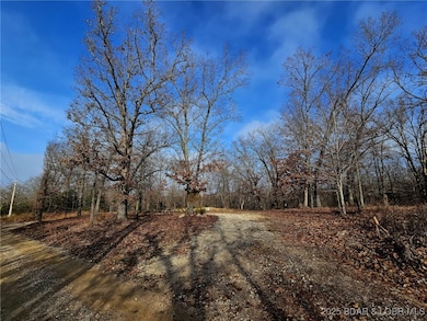 TBD Echo Valley Rd, Osage Township, MO 65072 - photo 5