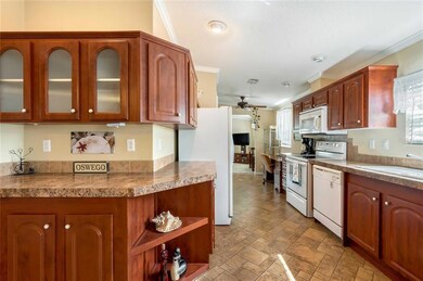 5541 Cheyenne St, Zephyrhills, FL 33542 - photo 3