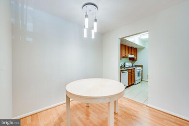 10720 West Dr unit 204, Fairfax, VA 22030 - photo 6
