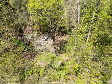 8-web-or-mls-DJI_0717