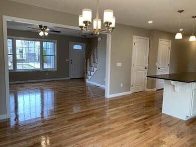 16 Angelo St, Springfield, MA 01119 - photo 5