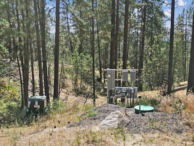 NKA Weaver Way unit Lot 2 of Lot 1, Deer Park, WA 99006 - photo 4