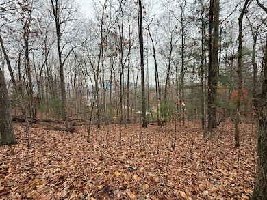 0 Rosenkranz Ln unit 154234, Hiawassee, NC 28904 - photo 7