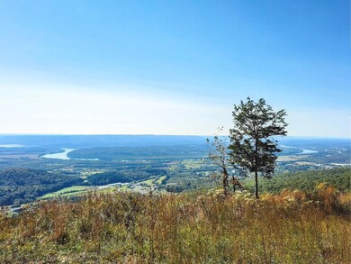 155 Bear Crawl Rd, Jasper, TN 37347 - photo 2