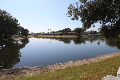 22704 Magnolia Trace Blvd, Lutz, FL 33549 - photo 7