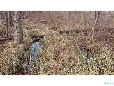 Land. Stream runs through property